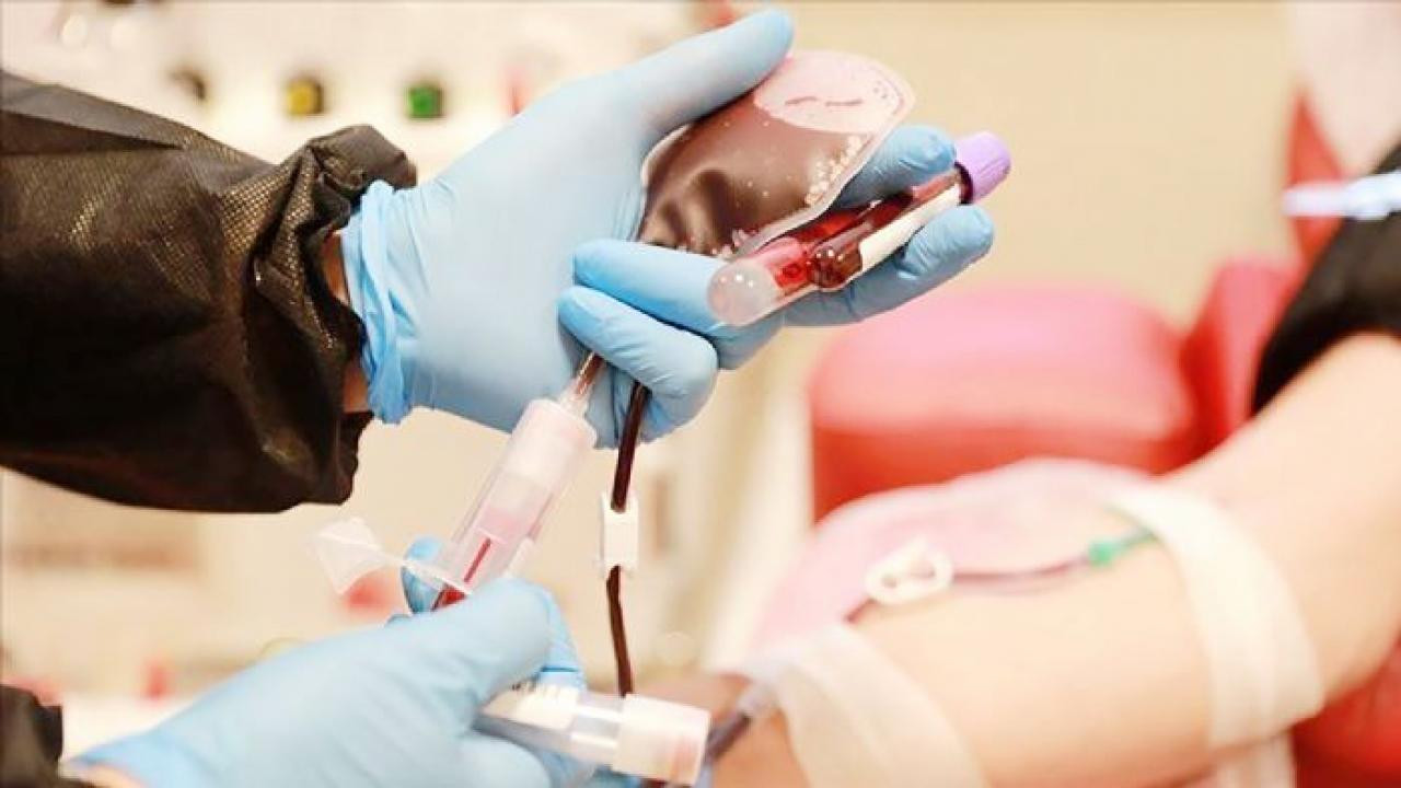 Bir bağış, bir hayat... Kök hücre bağışıyla hayat yeniden başlıyor!